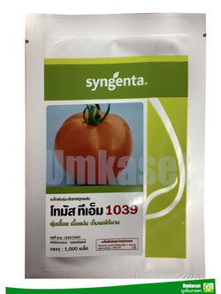 มะเขือเทศ โทมัส ทีเอ็ม 1039 ( 1000 เมล็ด )