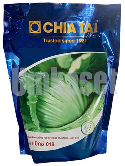 ผักกาดเขียวปลี แม็กซ์ 018 เจียไต๋ (500ก)