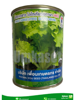 ผักกาดขาว ไดโตเกียวเบกานา 6803