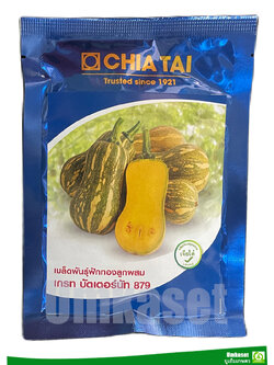 ฟักทอง เกรทบัตเตอร์นัท 879 เจียไต๋ 500 เมล็ด