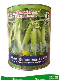 ถั่วลันเตาหวาน ไทซุงเบอร์ 13 1097 เพื่อนเกษตรกร (500 กรัม)