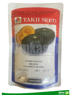 ฟักทองญี่ปุ่น/ สควอทช ดีไลก้า ( HYbrid Squash DELICA) 100 กรัม