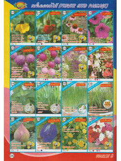 เมล็ดดอกไม้ ตองสาม 2/17 - 2/32