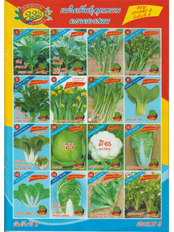 ผักซอง ตองสาม OP 1-16