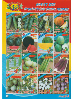 ผักซอง ตองสาม OP 49-64