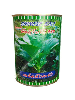 คะน้ายอด จัมโบ้919 ตราปลาทอง