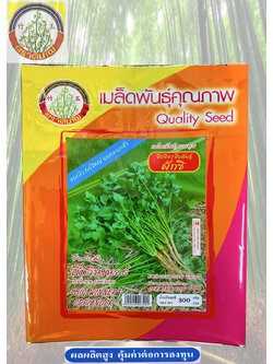 ผักชี บิ๊กวินเนอร์ ตราต้นไผ่ (300 กรัม)