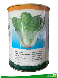 ผักกาดขาว ซูโม่60 (SUMO60) HUNGNONG 1 ปอนด์