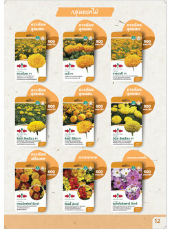 ผักซอง ศรแดง 30บ กลุ่มดอกไม้