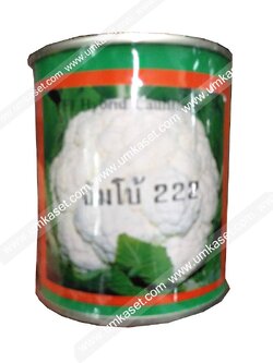 เมล็ดพันธุ์ กะหล่ำดอกจัมโบ้ 222