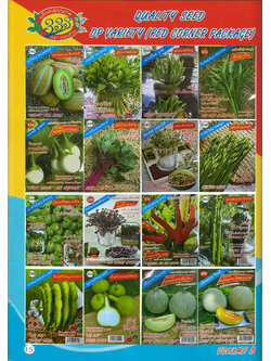 ผักซอง ตองสาม OP 241-256