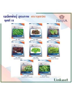 ผักซอง จุยเจีย ชุดที่ 11