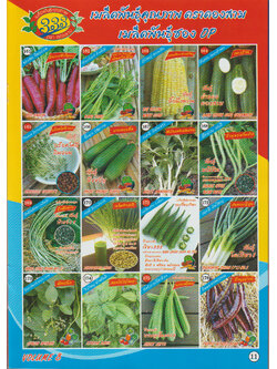 ผักซอง ตองสาม OP 161-176