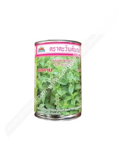 แมงลัก แคลาย ตะวันต้นกล้า 20 กรัม