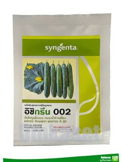 แตงกวาญี่ปุ่นลูกผสม อิชิกรีน 002 Syngenta (500เมล็ด)