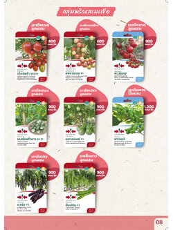 ผักซอง ศรแดง 30บ กลุ่มพริกและมะเขือ2