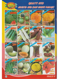 ผักซอง ตองสาม F1 1/49 - 1/64