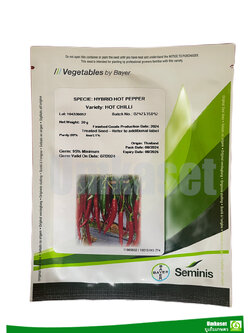 พริกมันแดง ฮอทชิลี่ F1 Seminis ( 20 กรัม)