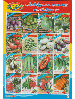 ผักซอง ตองสาม OP 65-80