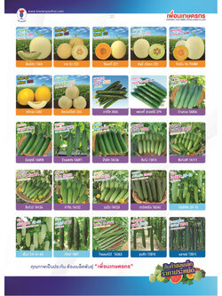 ผักซอง ตราเพื่อนเกษตรกร ชุดที่2