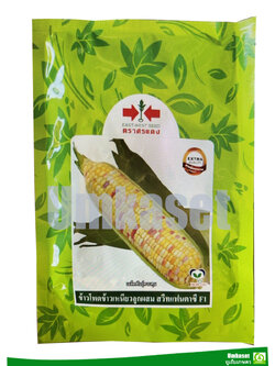 ข้าวโพดข้าวเหนียวลูกผสม สวีทแฟนตาซี F1 ศรแดง (200ก,1กิโล)