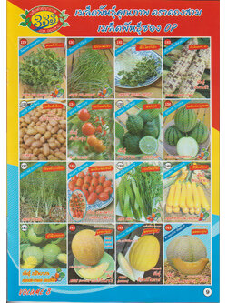 ผักซอง ตองสาม OP 129-144