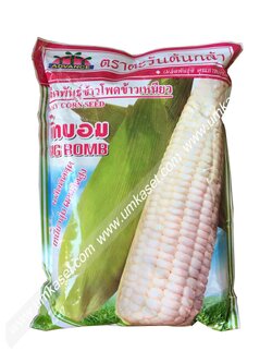 ข้าวโพดข้าวเหนียว บิ๊กบอม ตะวันต้นกล้า 1 กิโล