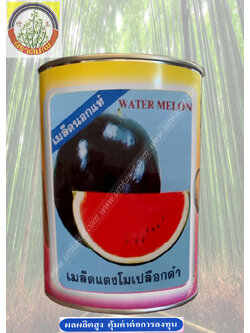 แตงโมผิวดำ (ซูการ์เบบี้) ตราต้นไผ่