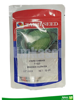 กะหล่ำปลี T-523 เจียไต๋ 50 กรัม