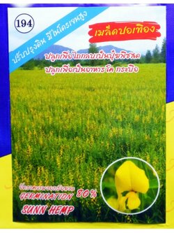 เมล็ดพันธุ์ ปอเทือง (ปลาทอง) 1 กิโลกรัม