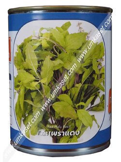 กะเพราแดง ตราลูกโลก