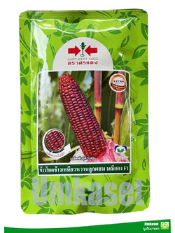 ข้าวโพดข้าวเหนียว มณีแดง F1 (ขนาด200กรัม) ตราศรแดง เมล็ดข้าวโพดสีม่วง