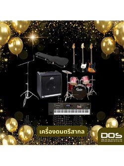 โครงการจัดซื้อเครื่องดนตรีสากลพร้อมระบบเครื่องเสียงสำหรับการแสดง เพื่อสนับสนุนกิจกรรมของโรงเรียนในสังกัดชุมชน