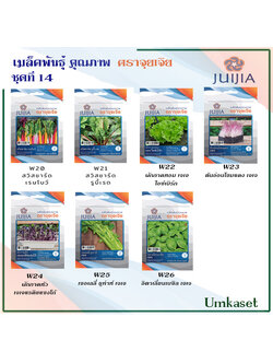 ผักซอง จุยเจีย ชุดที่ 14