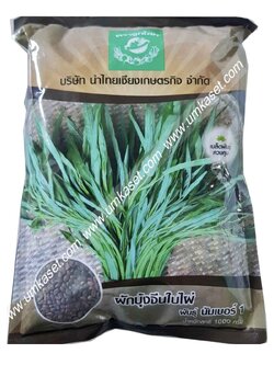 ผักบุ้งจีนใบไผ่ พันธุ์นัมเบอร์ 1 ตราลูกโลก 1 กิโล