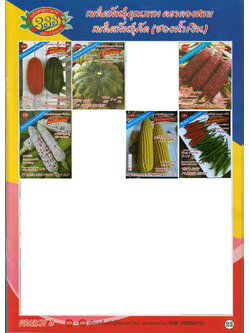 ผักซอง ตองสามF1 1/81 - 1/88