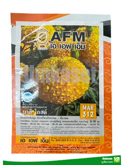 ดาวเรือง บาลี โกลด์ MAR312