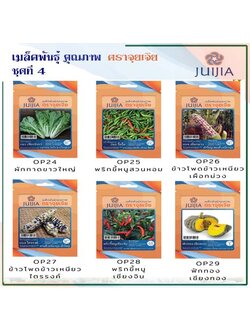 ผักซอง จุยเจีย ชุดที่ 4