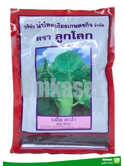 คะน้าฮ่องกง ตราลูกโลก ( 500 กรัม)