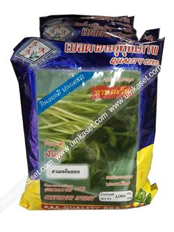 ทานตะวัน ปลูกกินยอด เมล็ดดำ ตราสามเอ 1 กิโล