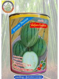 แตงโมอ่อน (ลูกลาย) ตราต้นไผ่