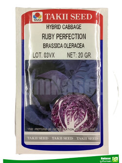 กะหล่ำปลีม่วง รูบี้เพอร์เฟคชั่น 20 กรัม