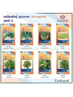 ผักซอง จุยเจีย ชุดที่2