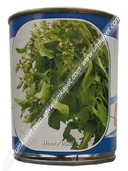 แมงลักเขียวใบตอง ตราลูกโลก