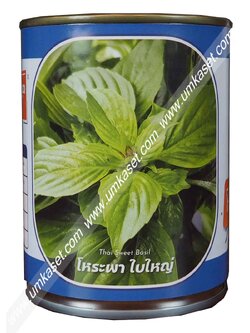 โหระพาใบใหญ่ ตราลูกโลก