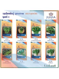 ผักซอง จุยเจีย ชุดที่1