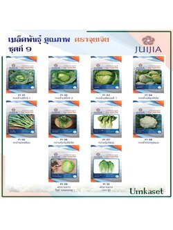 ผักซอง จุยเจีย ชุดที่ 9