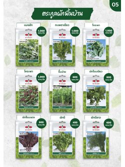 ผักซอง ศรแดง 30บ ตระกูลผักพื้นบ้าน 1