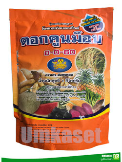 ปุ๋ยดอกคูณม็อบ 0-0-60 (ขนาด 1kg ) เร่งแป้ง เพิ่มความหวาน /ตราเต่ามังกร