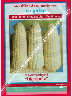 ข้าวโพดข้าวเหนียวสำลี "ไข่มุกปุ้มปุ้ย" ตราลูกโลก